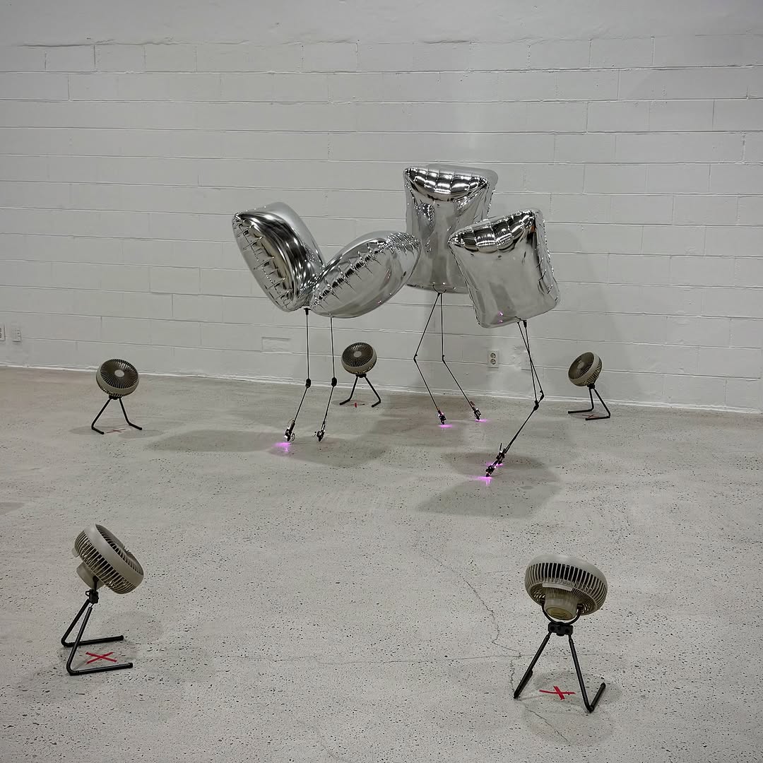 BALLU performance detail