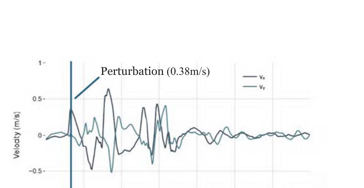 Perturbation disturbance rejection