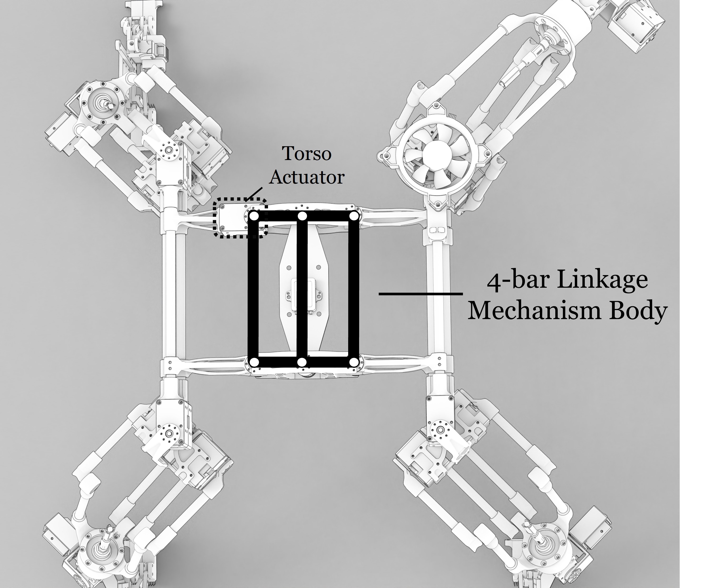 Torso mechanism