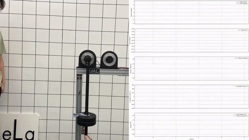 CQDD in motion